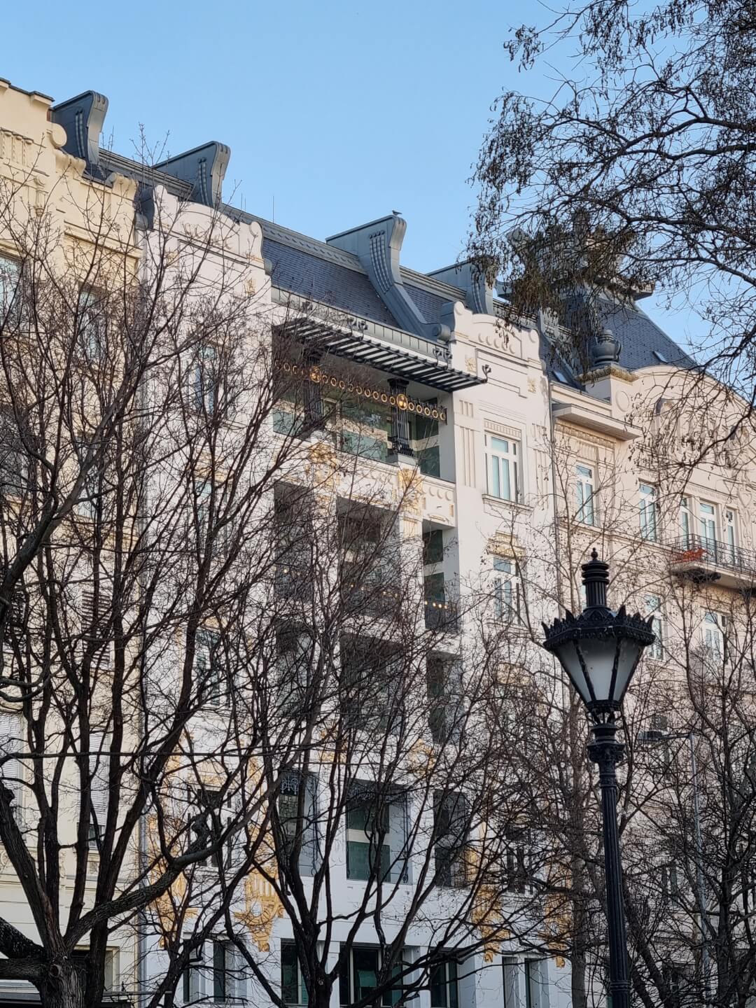 Classical apartment building behind bare trees with a street lamp in winter light, photo